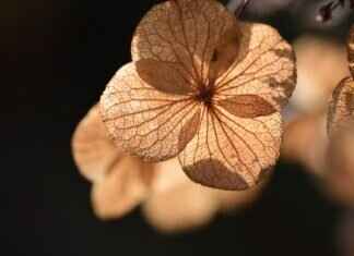 How to File for Divorce in the U.S. How to File for Divorce in the U.S.