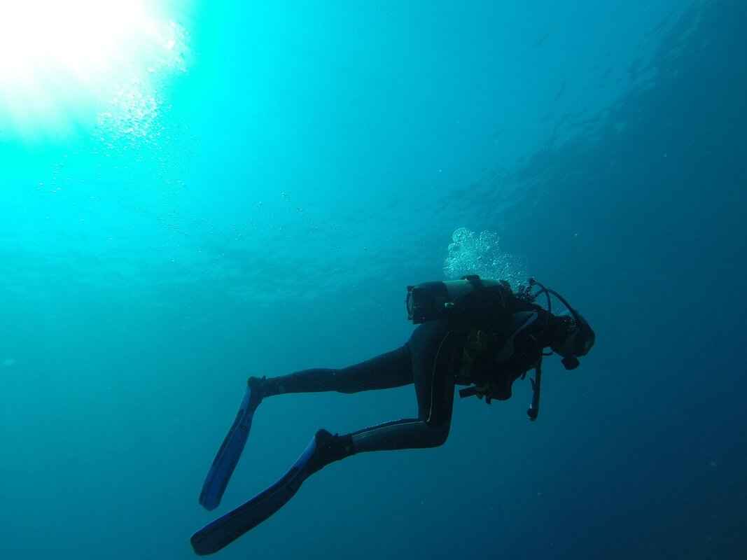 How to Film Crystal-Clear Scuba Diving Footage (Settings & Gear Guide) 6 How to Edit Underwater Footage for Maximum Impact?