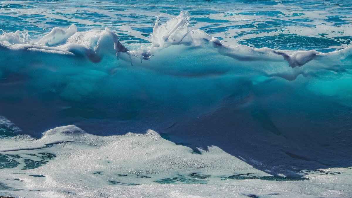 How to Edit Your Underwater Footage Effectively?