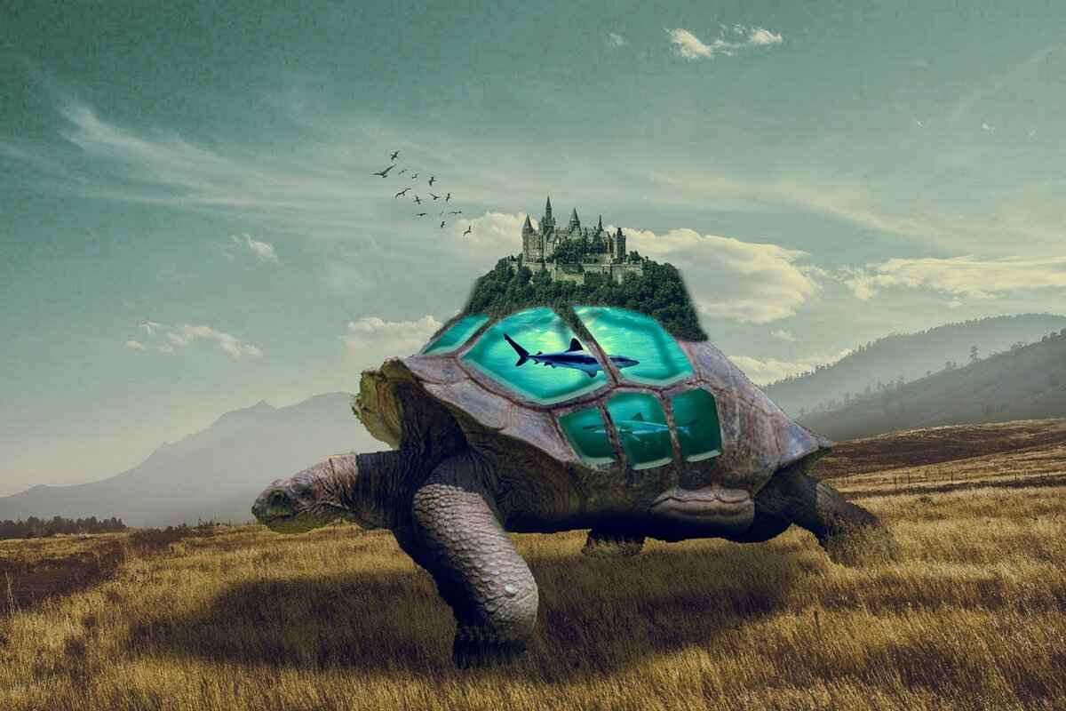 How to Set Up Your Action Camera for Underwater Filming?