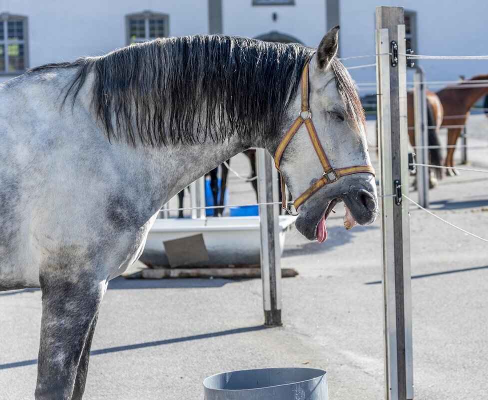 How to Fix a Cracked Tooth Naturally at Home 4 Dietary Adjustments for Tooth Health