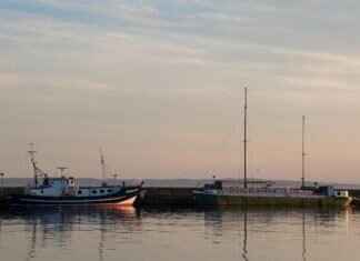 How to Get Rid of Flat Moles on Your Face: Safe Treatments How to Get Rid of Flat Moles on Your Face: Safe Treatments