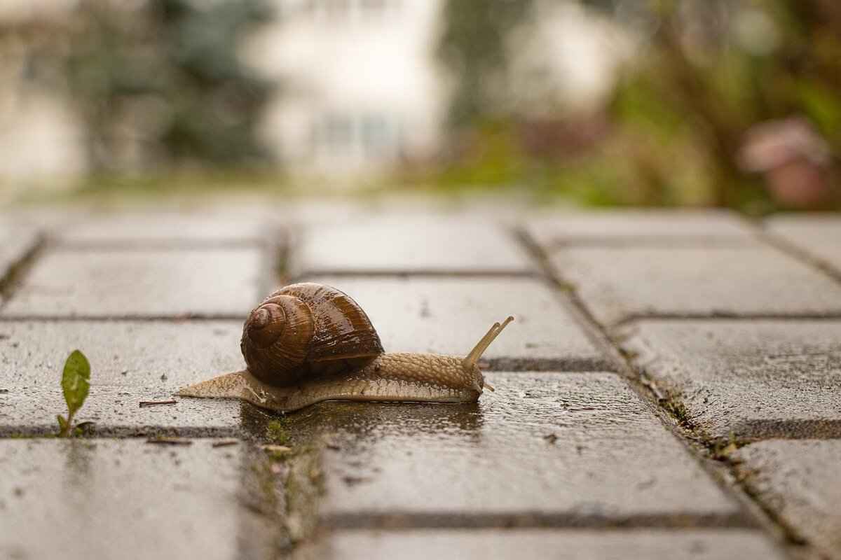 How to Get the Best Slow Motion Footage on an Action Camera 6 Editing Slow Motion Footage Effectively