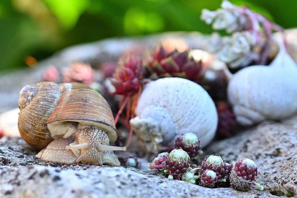 How to Get the Best Slow Motion Footage on an Action Camera 8 Showcasing Your Slow Motion Footage