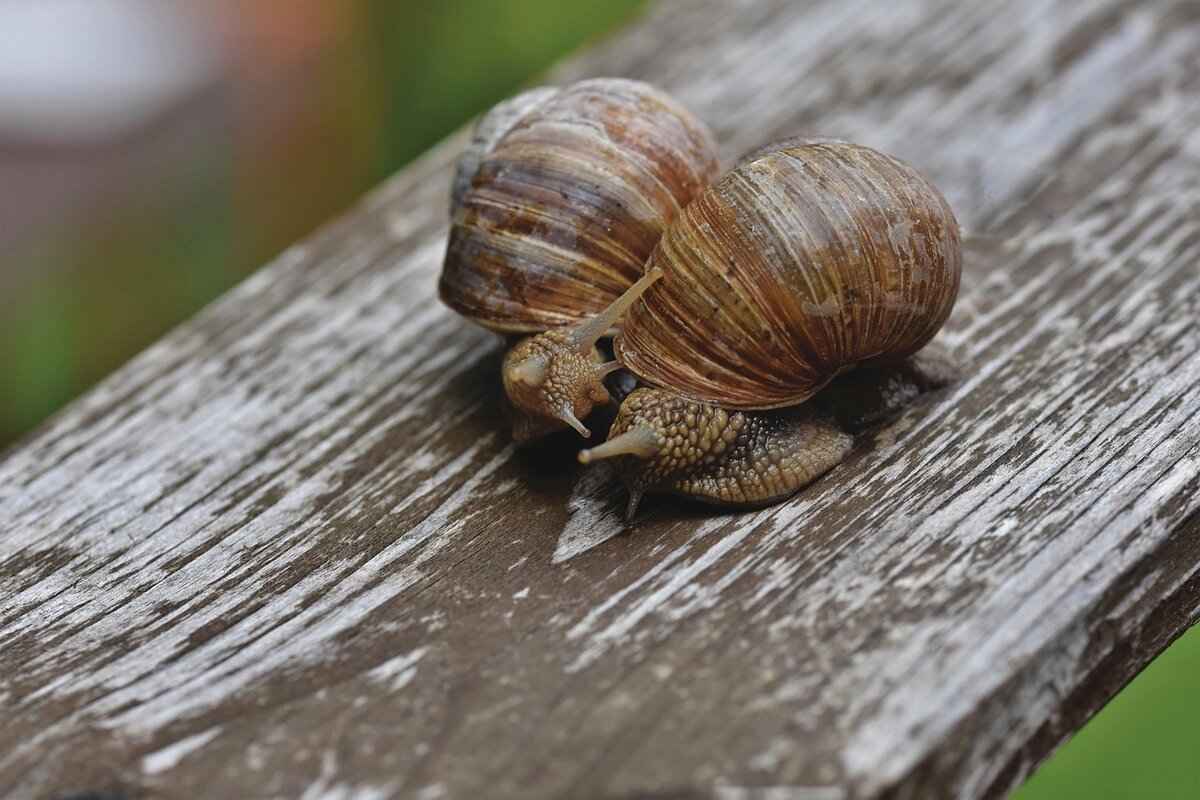 How to Get the Best Slow Motion Footage on an Action Camera 4 Camera Settings for Optimal Slow Motion