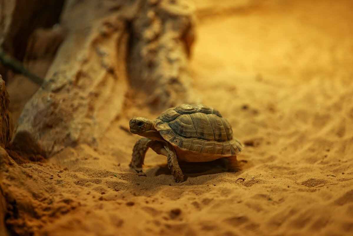 How to Get the Best Slow Motion Footage on an Action Camera 5 Lighting Conditions for Slow Motion Footage