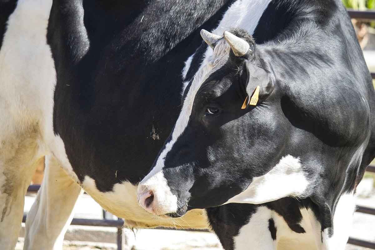 How to Get to Bocas del Toro: A Travel Guide 5 Exploring the Islands of Bocas del Toro