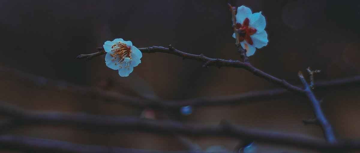 How to Go from Island to Anchor Attachment Style: Understanding Attachment Theory 3 What is Anchor Attachment Style?