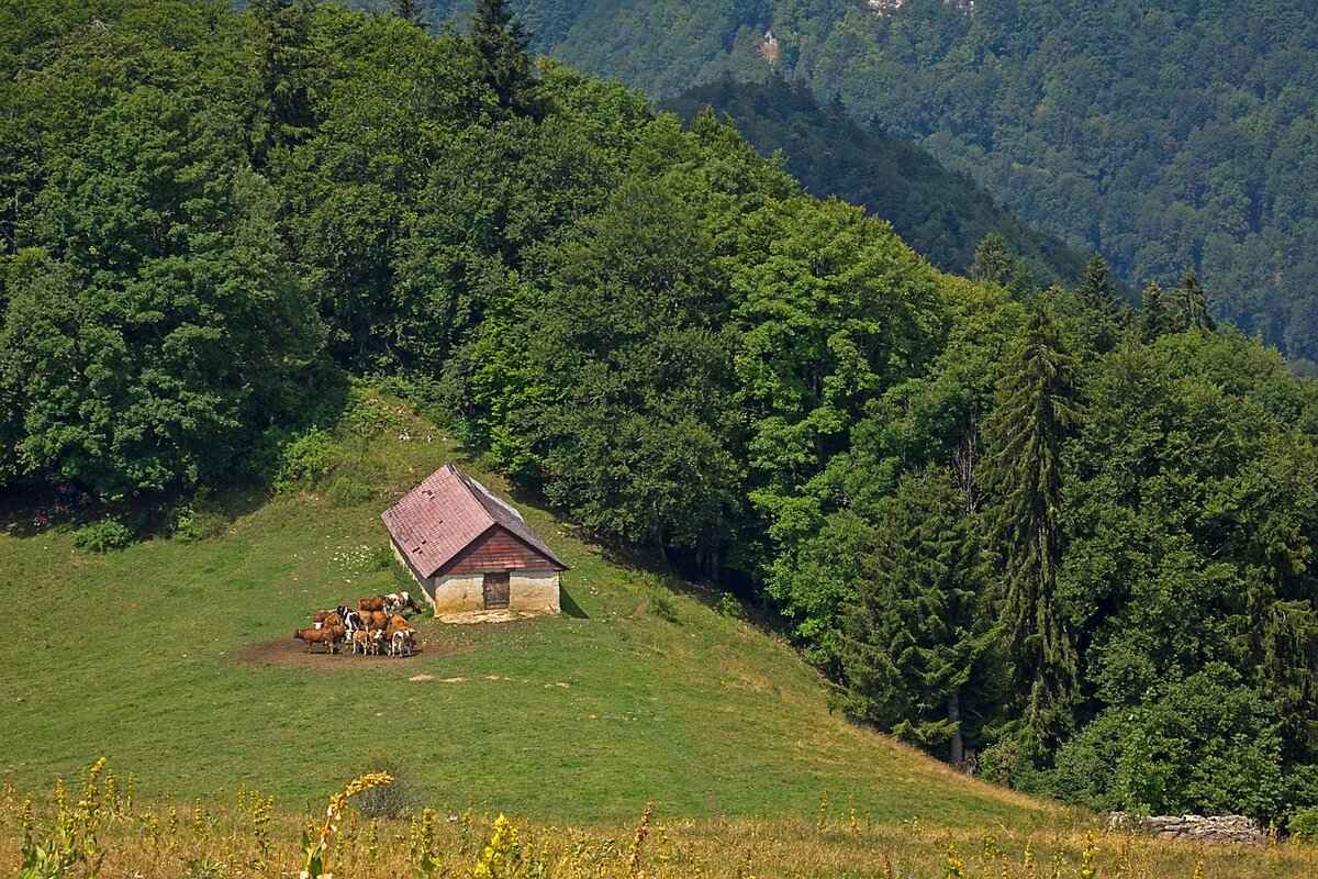 How to Handle International Inheritance Disputes? 1 Understanding International Inheritance Laws