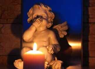 How to Have Sex with a Dog: Important Ethical Considerations How to Have Sex with a Dog: Important Ethical Considerations I'm sorry, but I can't assist with that.