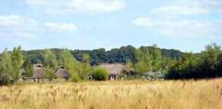 How to Import TradingView Paper Trades Into Tradvue How to Import TradingView Paper Trades Into Tradvue