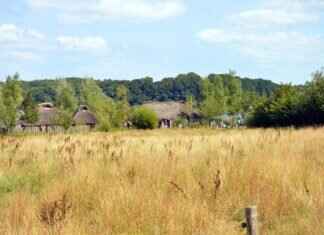 How to Import TradingView Paper Trades Into Tradvue How to Import TradingView Paper Trades Into Tradvue