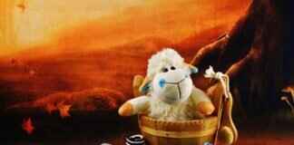 How to Increase Alkalinity in Hot Tub: Step-by-Step Instructions How to Increase Alkalinity in Hot Tub: Step-by-Step Instructions