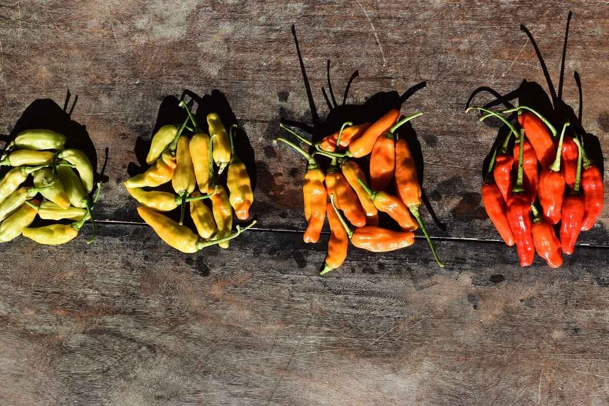 How to Create Your Own Asian-inspired Sauces?