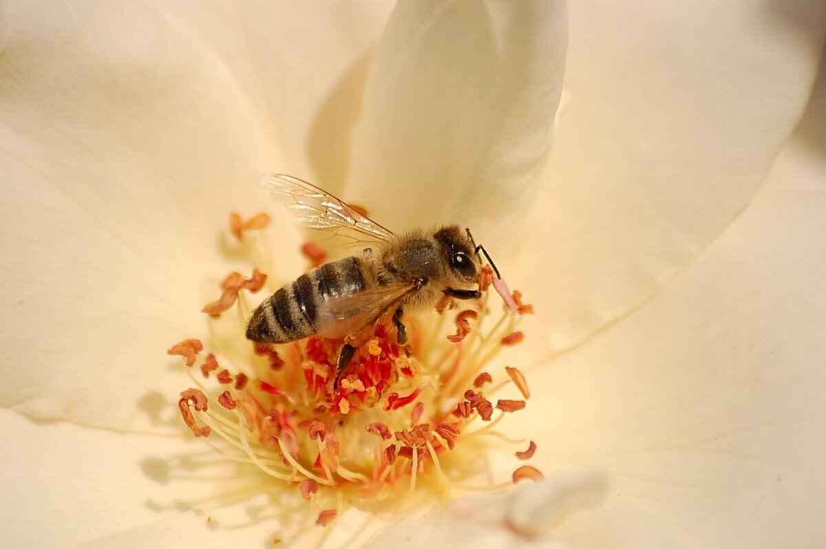 Monitoring the Collection Process