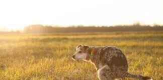 How to Keep Urine Warm for Drug Tests: A Helpful Guide How to Keep Urine Warm for Drug Tests: A Helpful Guide