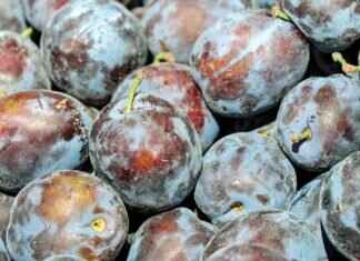 How to Keep Your Night Dress Smelling Fresh for Longer How to Keep Your Night Dress Smelling Fresh for Longer