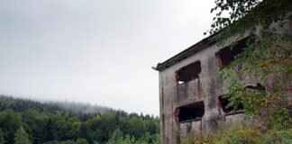 How to Know if Your House is Bugged: Signs to Watch for How to Know if Your House is Bugged: Signs to Watch for