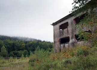 How to Know if Your House is Bugged: Signs to Watch for How to Know if Your House is Bugged: Signs to Watch for