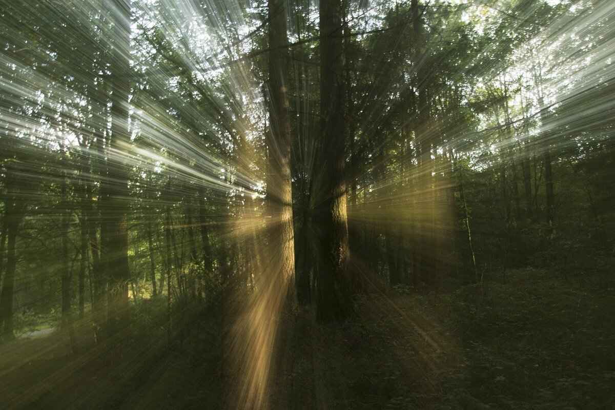 Hallucinations and Delusions