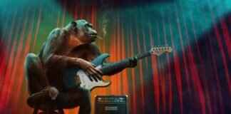 How to Light a Blunt: Tips for Beginners How to Light a Blunt: Tips for Beginners