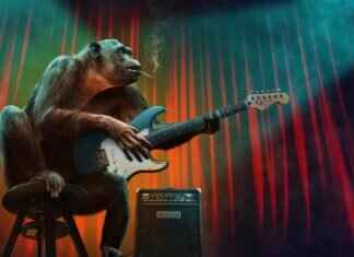 How to Light a Blunt: Tips for Beginners How to Light a Blunt: Tips for Beginners