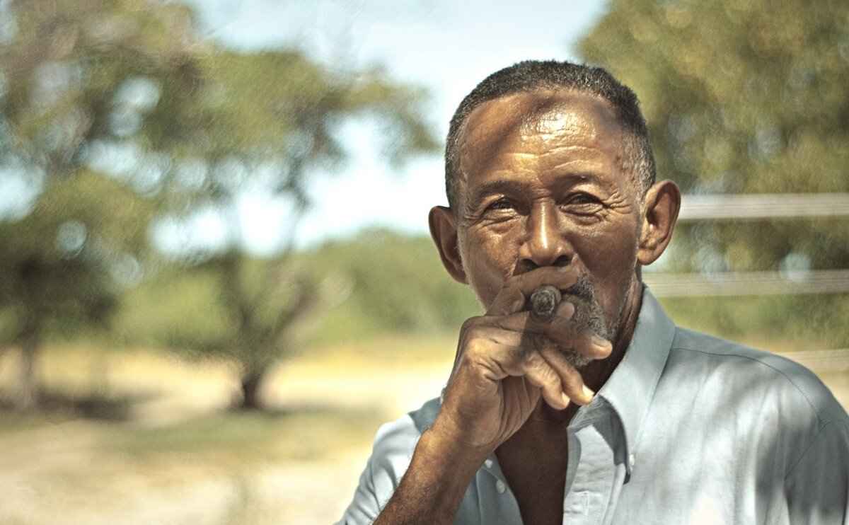 Understanding the Basics of Blunts