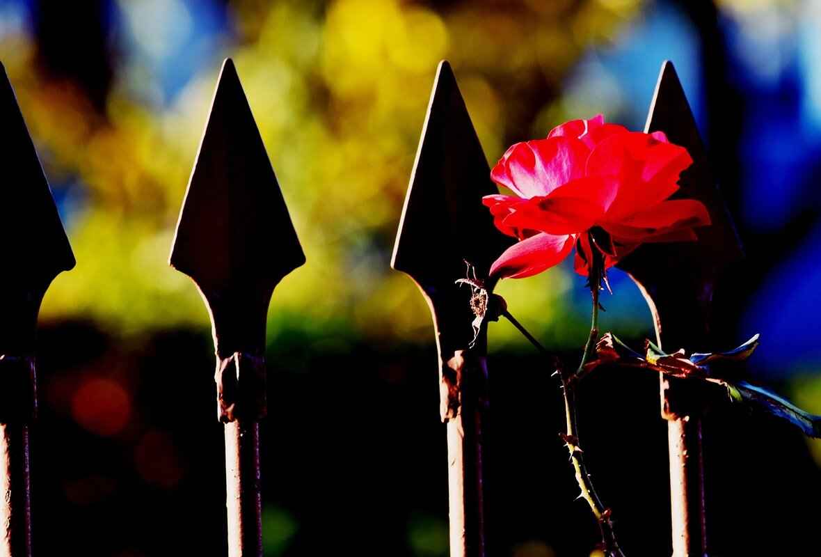 Selecting the Best Wrapping Material