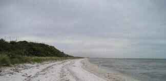 How to Look Thinner in Photos: Posing and Editing Tips How to Look Thinner in Photos: Posing and Editing Tips