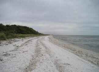 How to Look Thinner in Photos: Posing and Editing Tips How to Look Thinner in Photos: Posing and Editing Tips