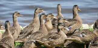 How to Make a Budget-Friendly Wellness Plan: Tips for Healthy Living How to Make a Budget-Friendly Wellness Plan: Tips for Healthy Living