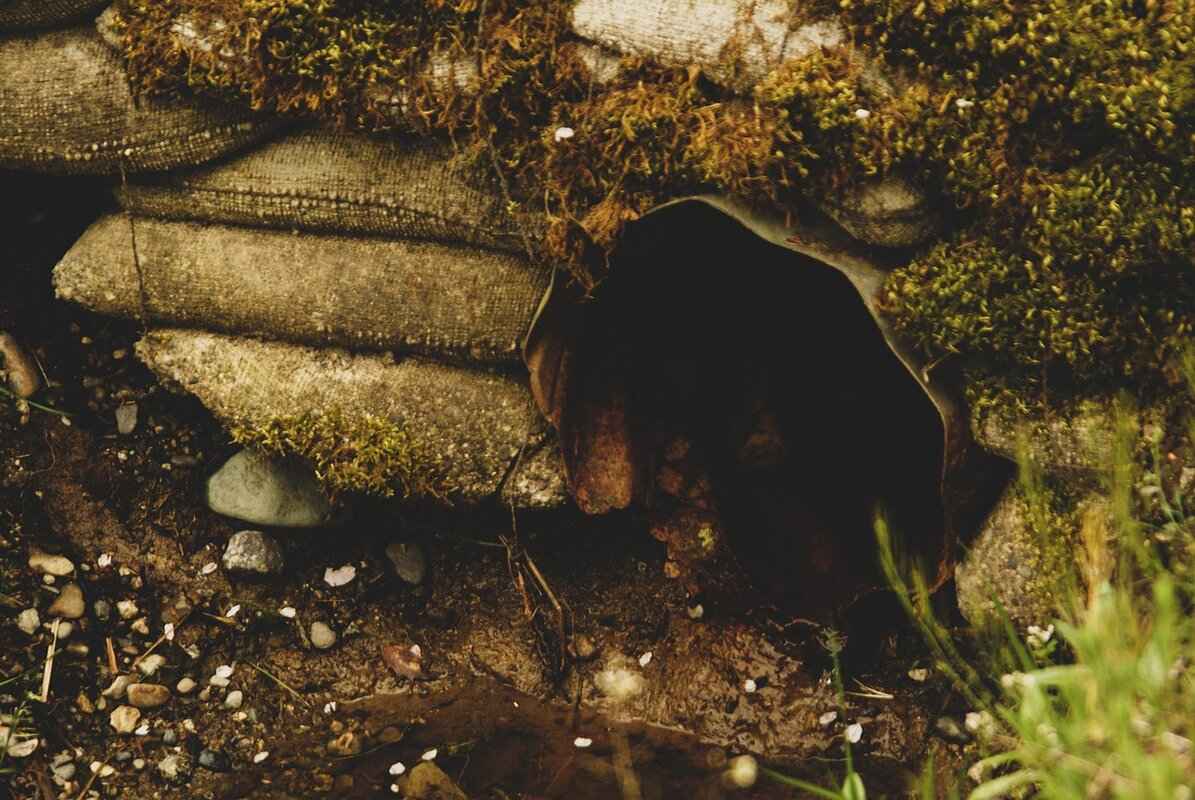 How to Use Your Water Bottle Bong