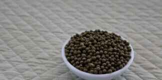 How to Make Authentic Chinese Spring Rolls How to Make Authentic Chinese Spring Rolls