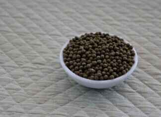 How to Make Authentic Chinese Spring Rolls How to Make Authentic Chinese Spring Rolls