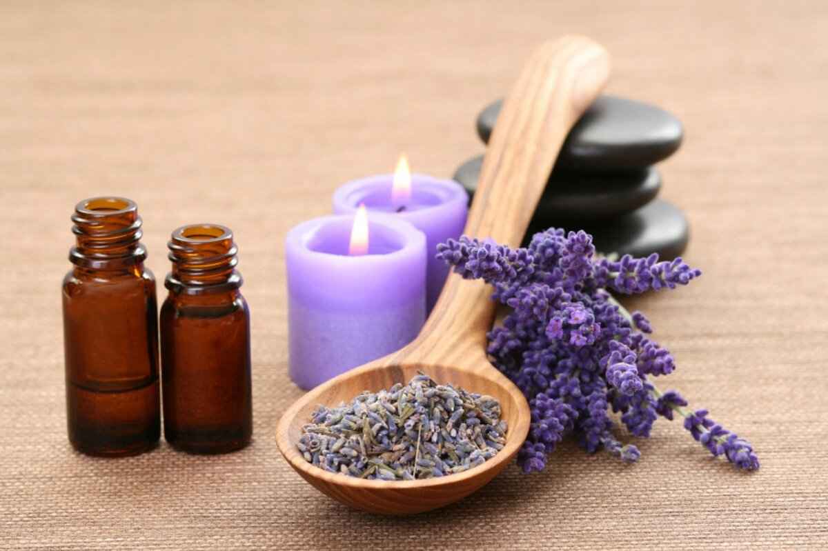 How to Make Essential Oils: A Beginner’s DIY Guide 5 Choosing the Right Plants for Essential Oils