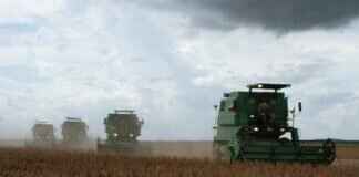 How to Make Homemade Soy Sauce from Scratch How to Make Homemade Soy Sauce from Scratch