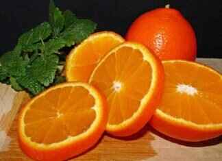 How to Make Lemon Balm for Weight Loss: Benefits & Recipe How to Make Lemon Balm for Weight Loss: Benefits & Recipe