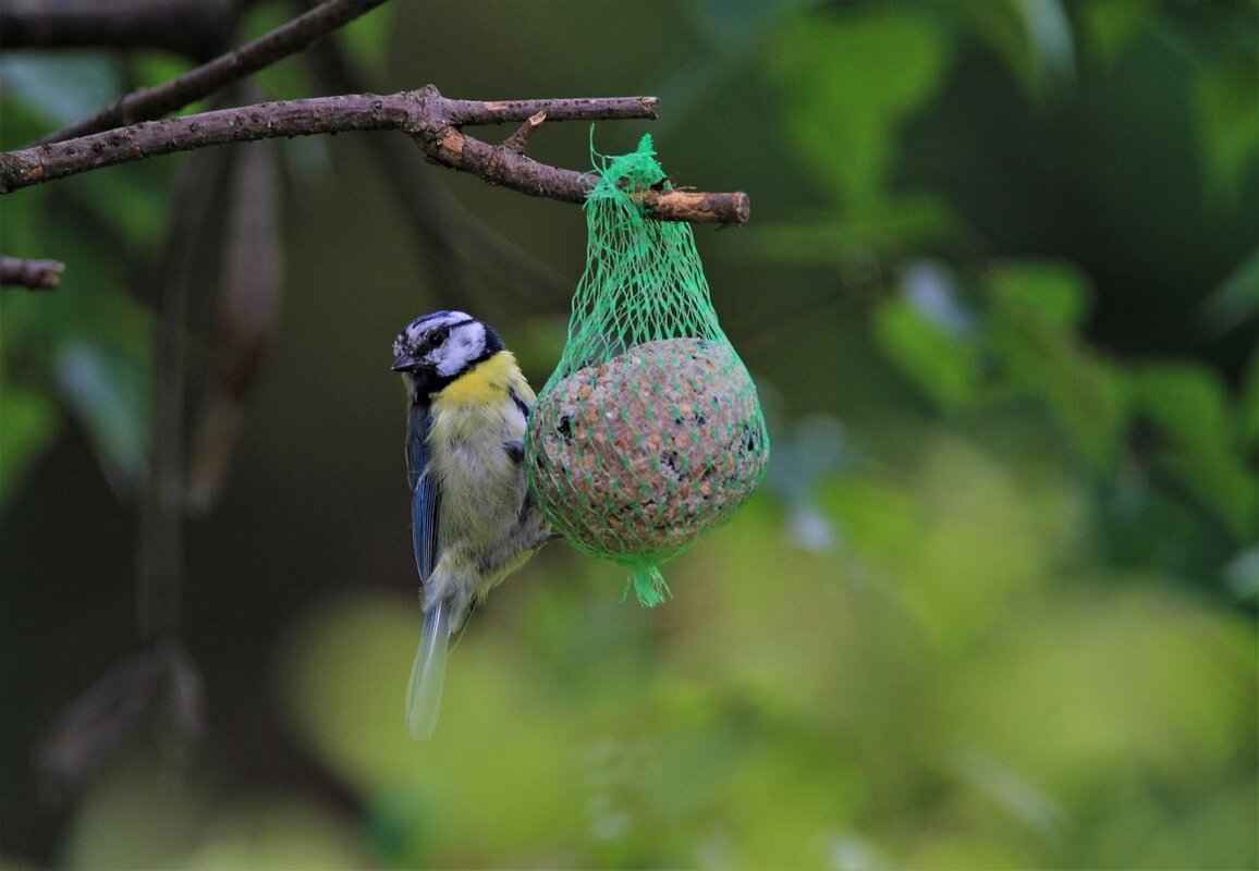 Cooking Methods for Perfect Dumplings