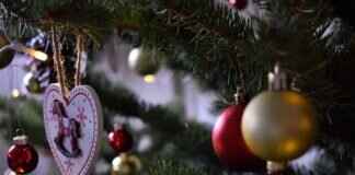 How to Make Pine Wood Flooring: A DIY Project How to Make Pine Wood Flooring: A DIY Project