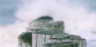 How to Make the Most of Your Visit to Mandarmani, West Bengal How to Make the Most of Your Visit to Mandarmani, West Bengal