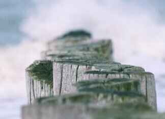 How to Make the Most of Your Visit to Mandarmani, West Bengal How to Make the Most of Your Visit to Mandarmani, West Bengal