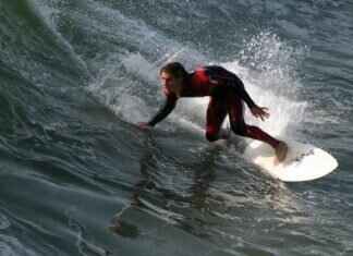 How to Maximize Coins in Subway Surfers How to Maximize Coins in Subway Surfers