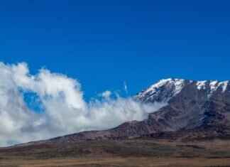 How to Mount an Action Camera on a Dog, Car, or Bike for Unique Angles How to Mount an Action Camera on a Dog, Car, or Bike for Unique Angles