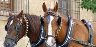 How to Open a Cart: Tips for Easy Setup How to Open a Cart: Tips for Easy Setup