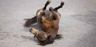 How to Pack a Cone: The Ultimate Rolling Guide How to Pack a Cone: The Ultimate Rolling Guide