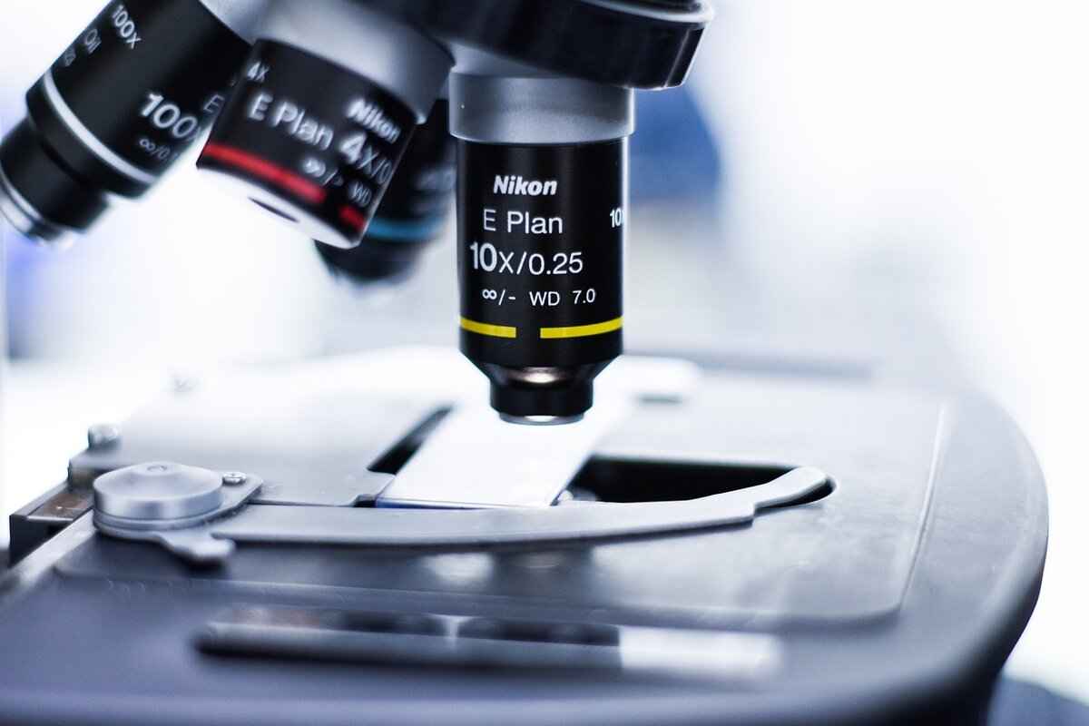 How to Pass an Oral Swab Drug Test on the Same Day 8 What to Expect on Test Day