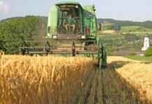 How to Perform Instant Mach 4 in PTUCE How to Perform Instant Mach 4 in PTUCE