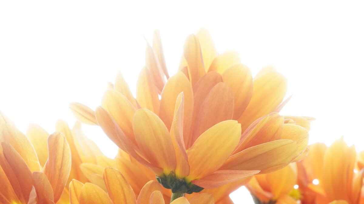 Steps to Achieve Instant Mach 4