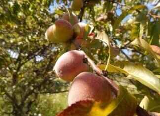 How to Pick the Softest Night Dress for Ultimate Relaxation How to Pick the Softest Night Dress for Ultimate Relaxation