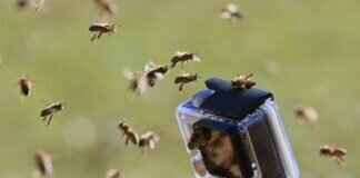 How to Prevent Water Damage & Fogging in Action Cameras How to Prevent Water Damage & Fogging in Action Cameras